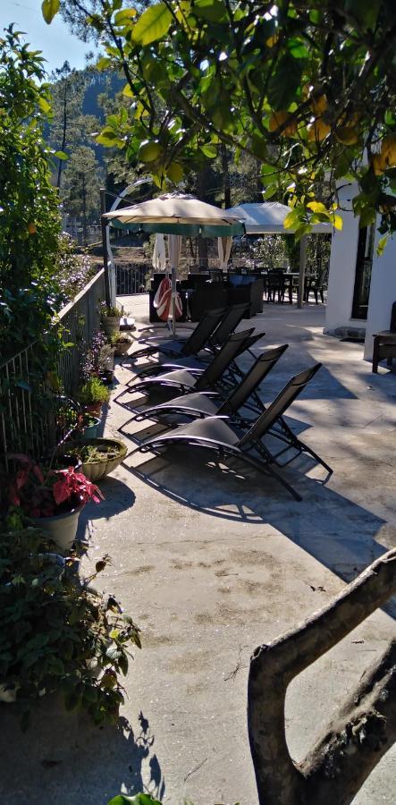 Casa Do Avo Xico - Geres Lake House - 10Pax Екстериор снимка
